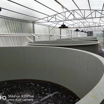 Food grade PP plastic fish pond